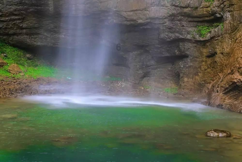 植物大战僵尸2